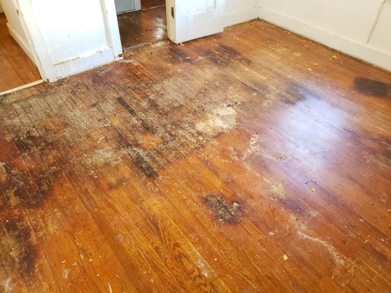 Damaged Hardwood Floor